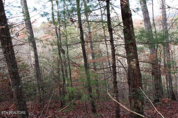 Lot 6 Taylors Ridge( Journeys End) Road Walland, TN 37886 - Photo 8 of 18 SaddleRidge 044