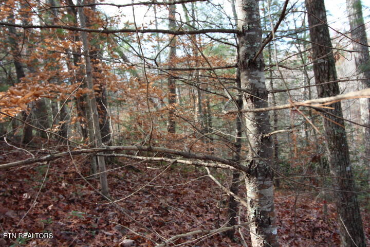 Lot 6 Taylors Ridge( Journeys End) Road Walland, TN 37886 - Photo 10 of 18 SaddleRidge 043