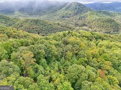 a view of a plants with pathway
