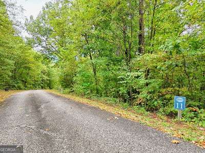 Lot 11 Skyview Drive Hayesville, NC 28904 - Photo 5 of 12 a view of a plants with pathway