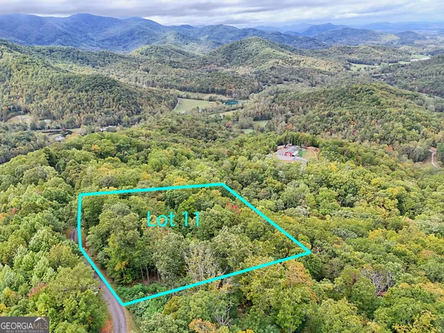 a view of a lush green field