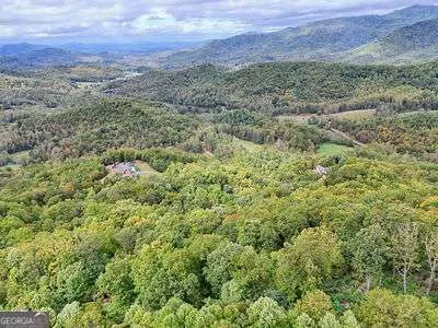 a view of a lush green field with a tree in the background