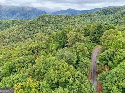 a view of a garden with pathway