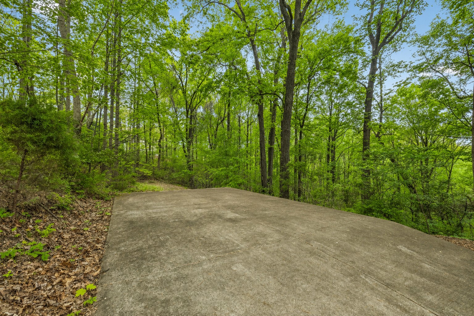 491 Deer Ridge Lane Nashville, TN 37221 - Photo 51 of 75