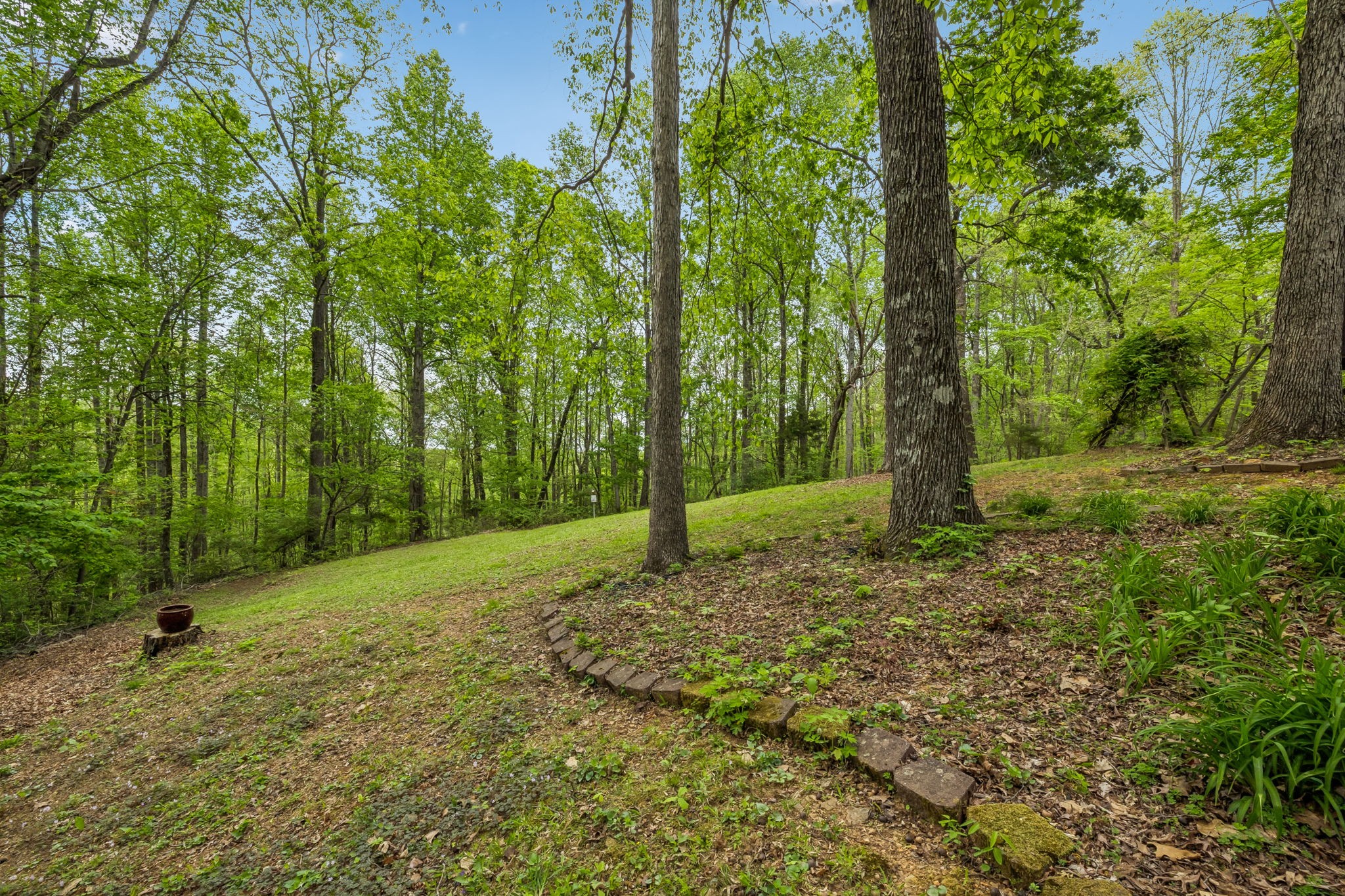 491 Deer Ridge Lane Nashville, TN 37221 - Photo 59 of 75