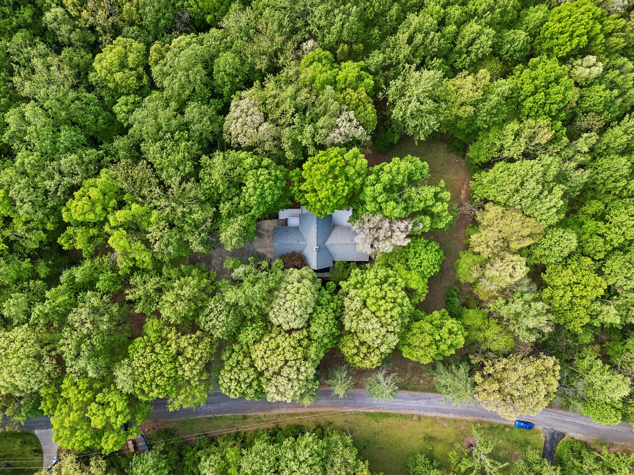 491 Deer Ridge Lane Nashville, TN 37221 - Photo 69 of 75