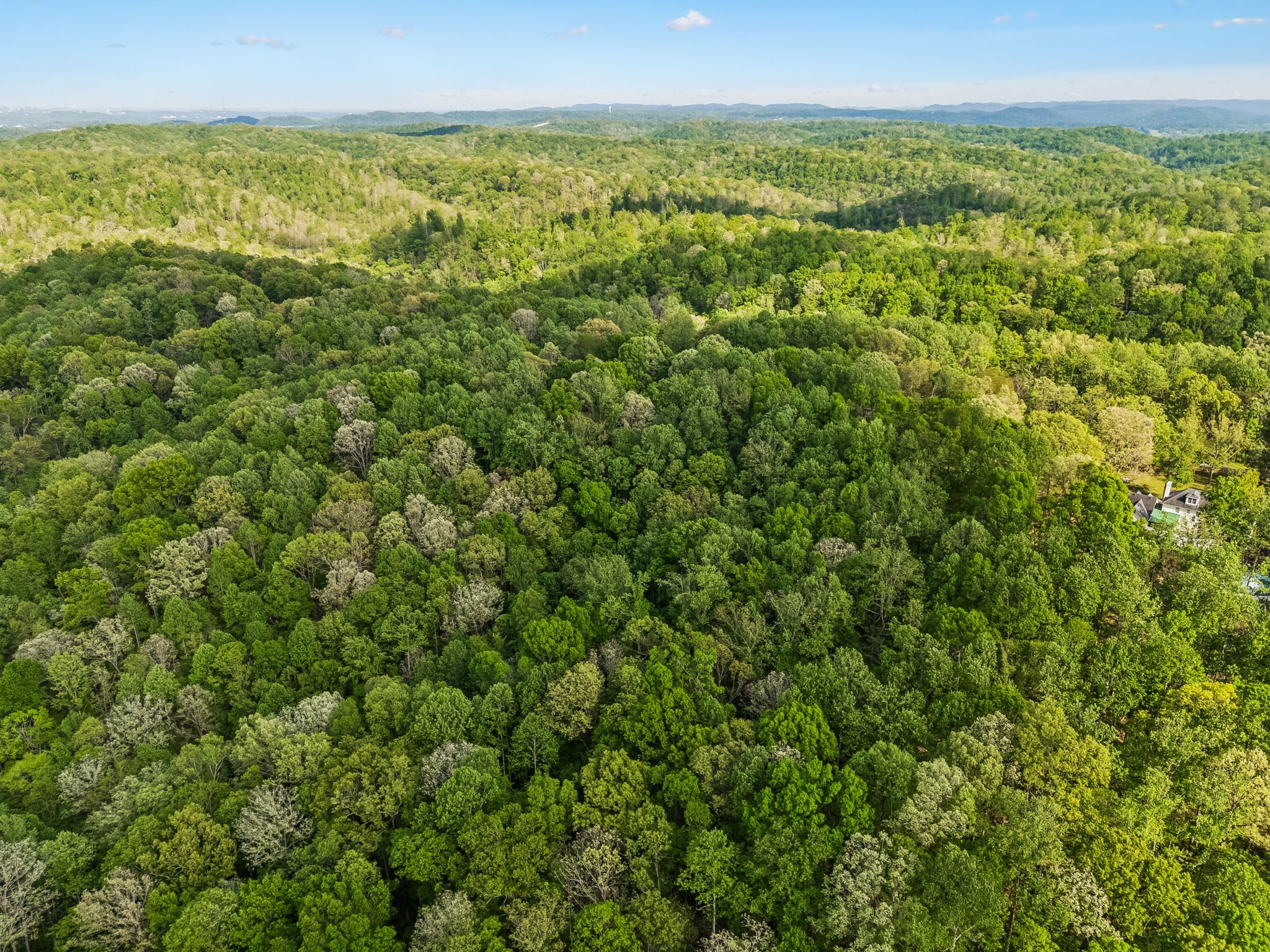 491 Deer Ridge Lane Nashville, TN 37221 - Photo 71 of 75
