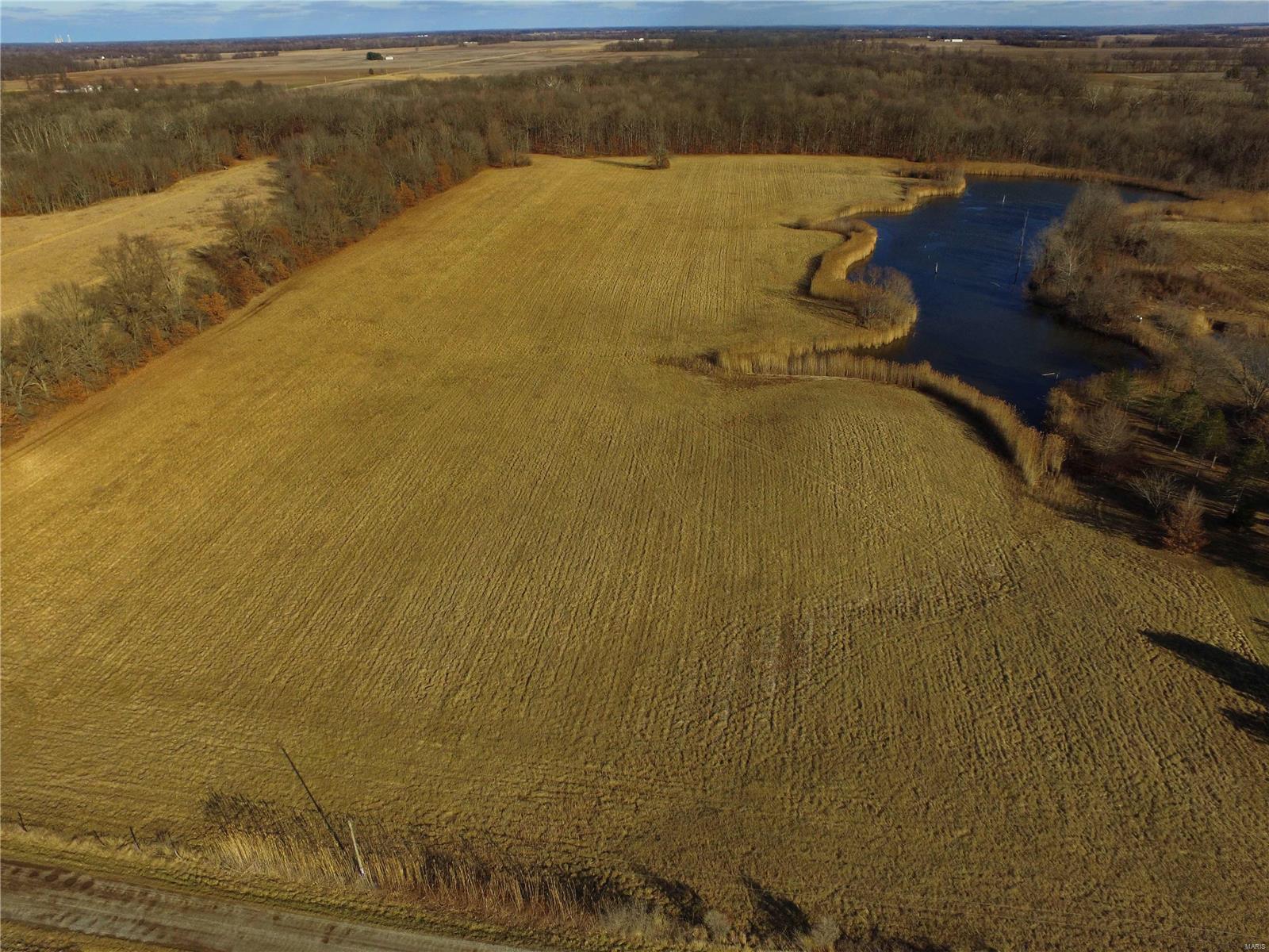 896 Spoonbill Road Louisville, IL 62858 - Photo 3 of 15 Gallery Image 3