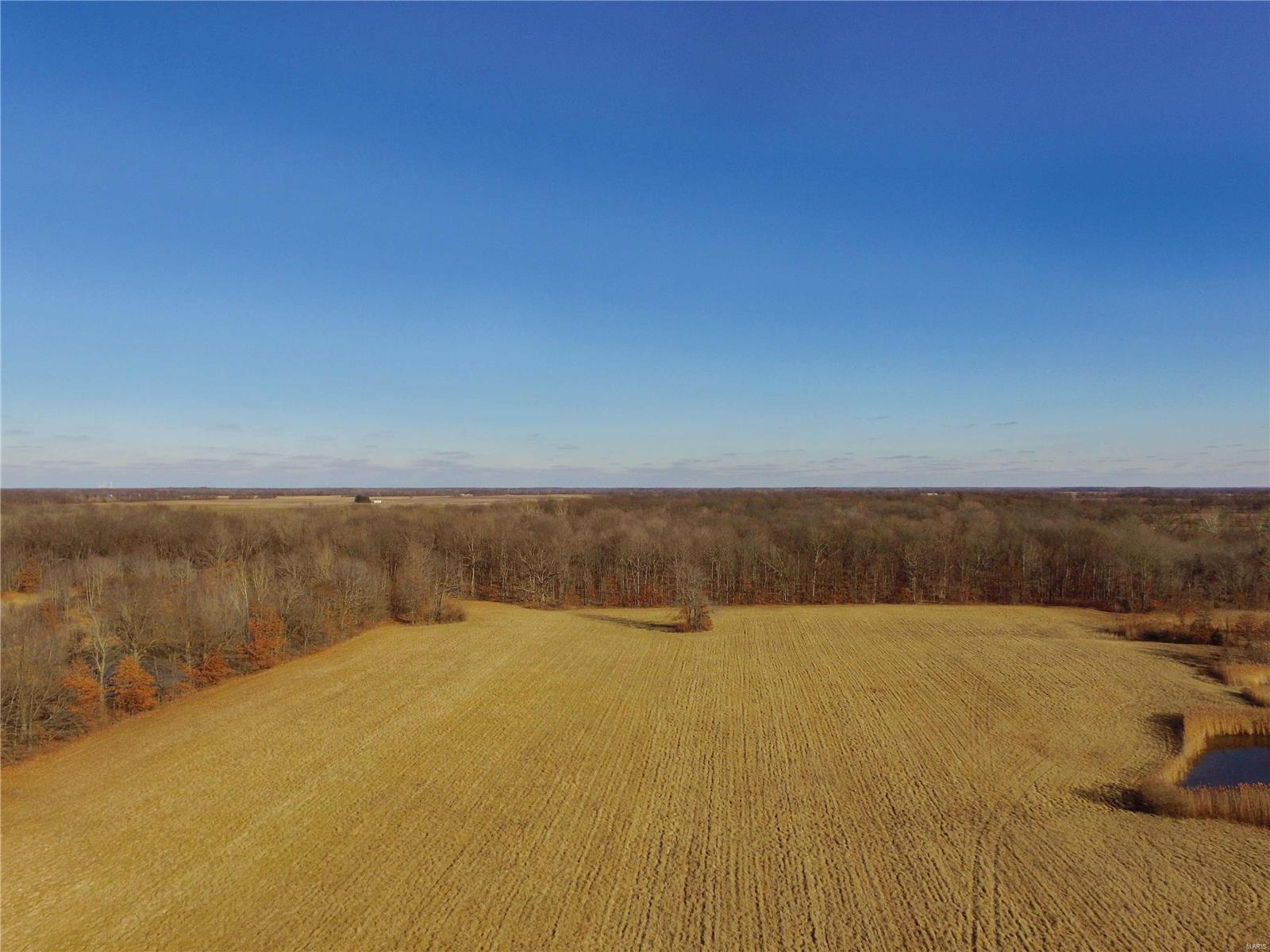 896 Spoonbill Road Louisville, IL 62858 - Photo 6 of 15 Gallery Image 6