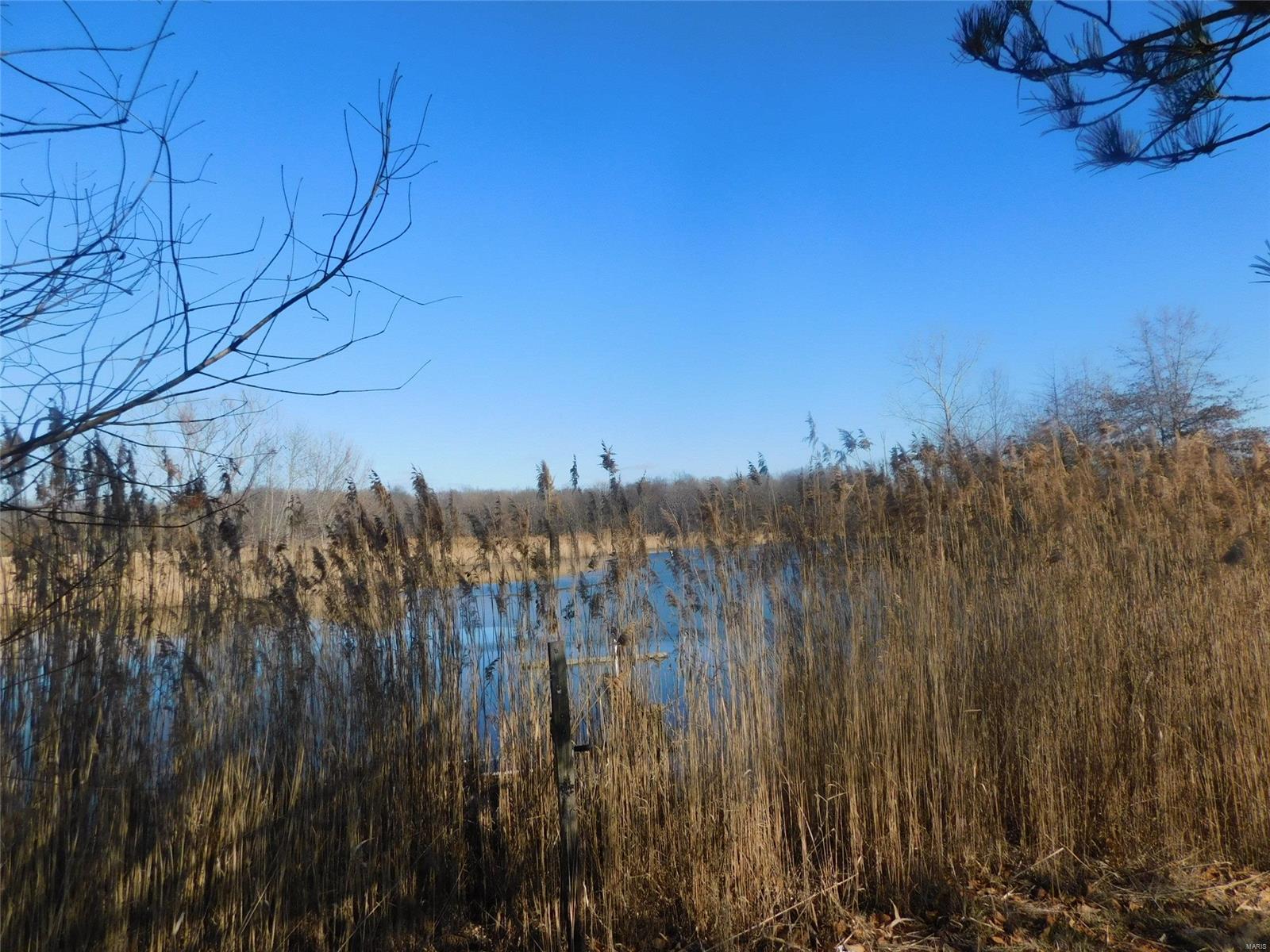 896 Spoonbill Road Louisville, IL 62858 - Photo 7 of 15 Gallery Image 7