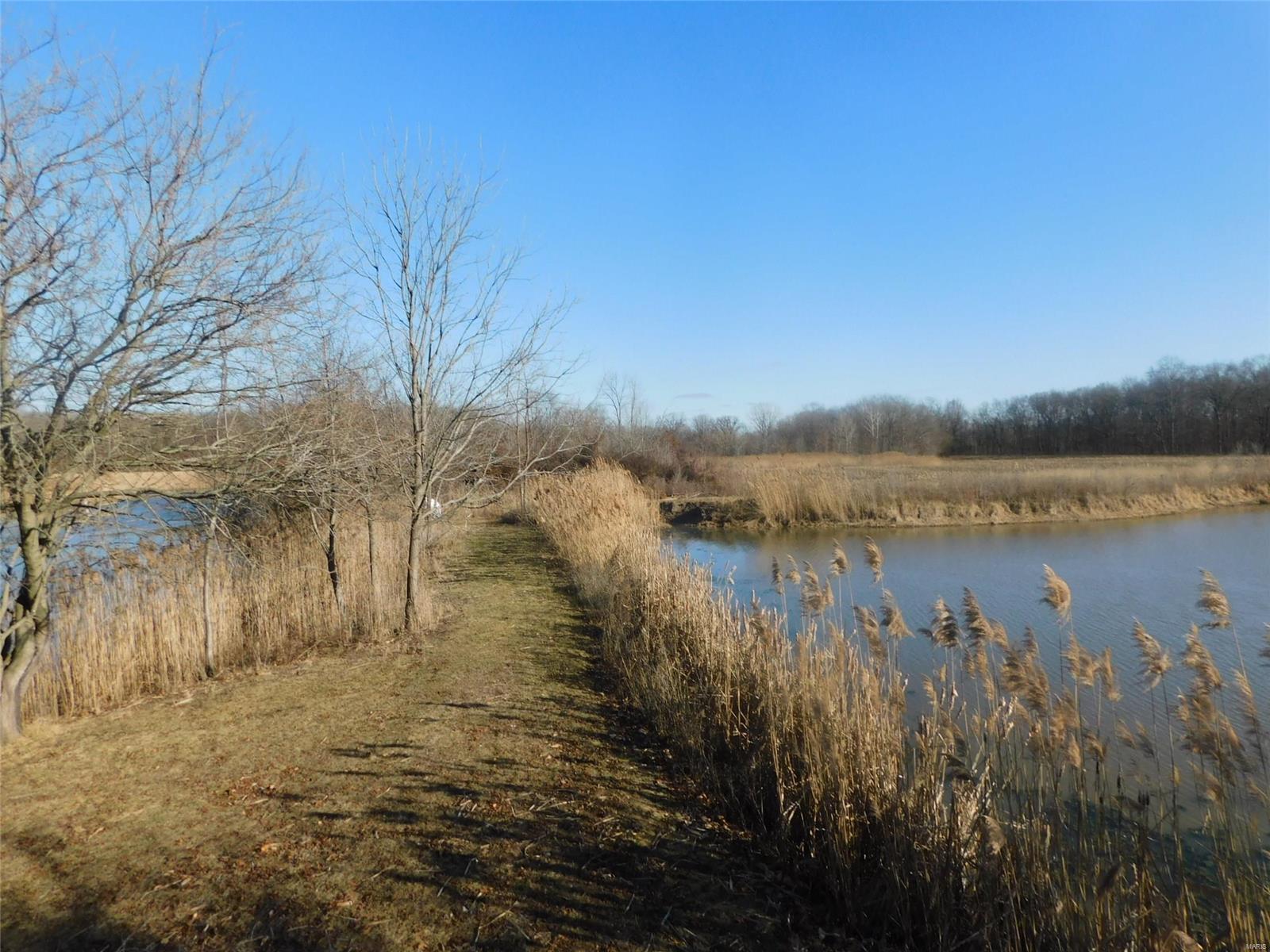 896 Spoonbill Road Louisville, IL 62858 - Photo 10 of 15 Gallery Image 10