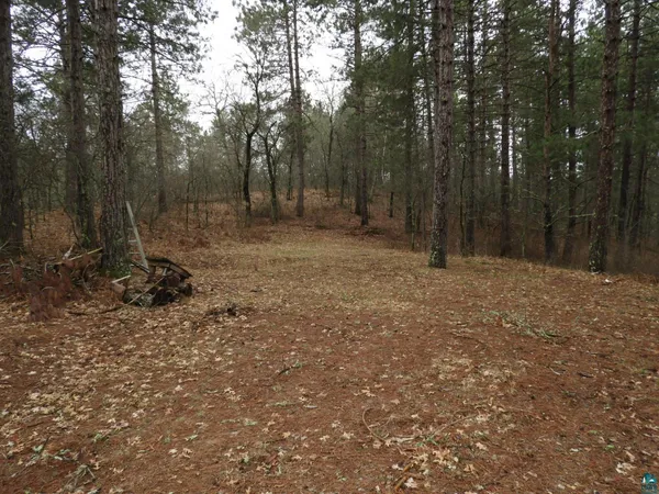 $49,000 | Xxxx Wilderness Court, Solon Springs, WI 54873