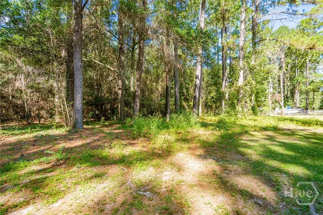 $275,000 | 202 Possum Trot Court, Ellabell, GA 31308