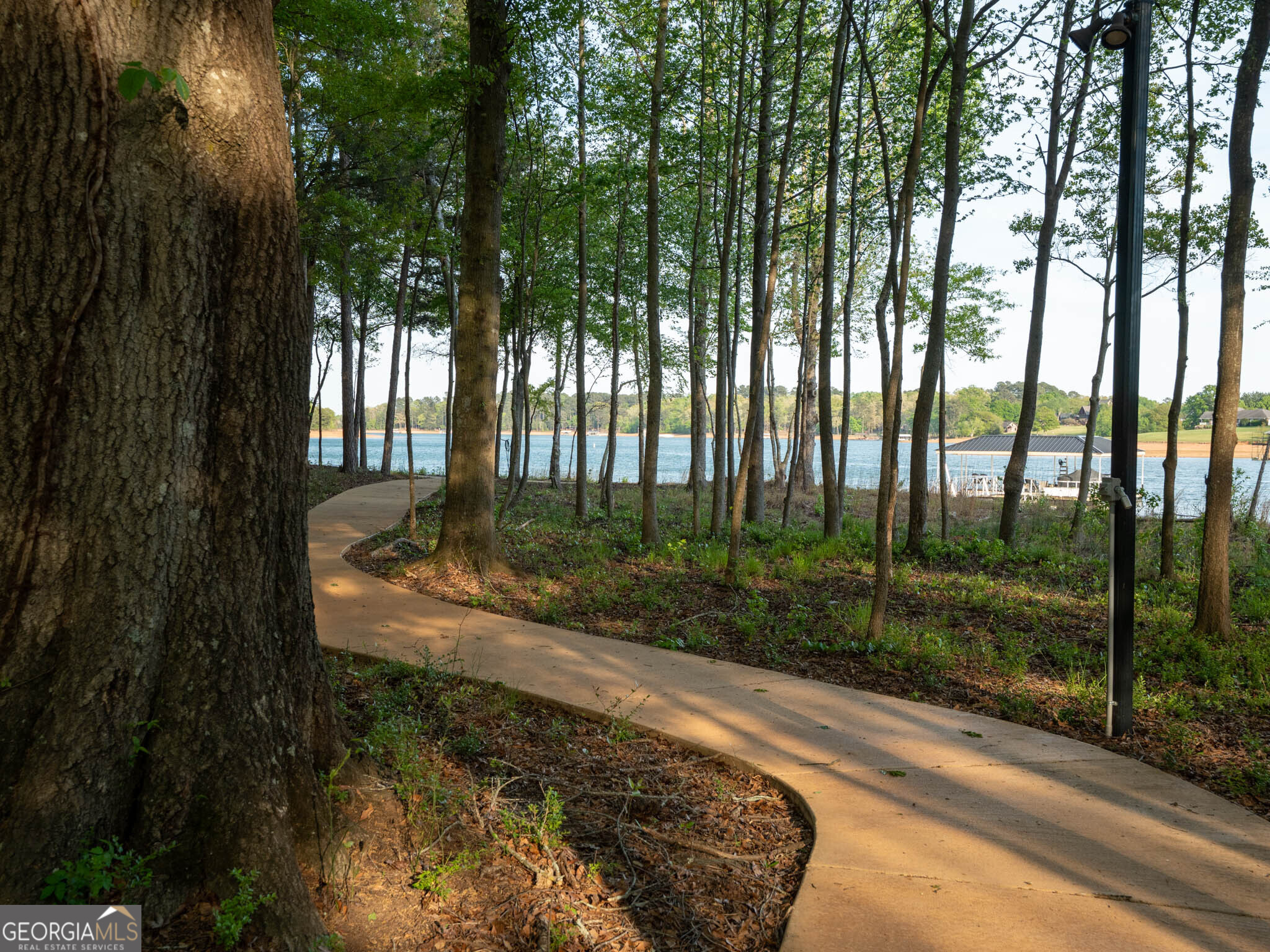 143 Carlota Way Hartwell, GA 30643 - Photo 42 of 48 a view of a garden with a trees