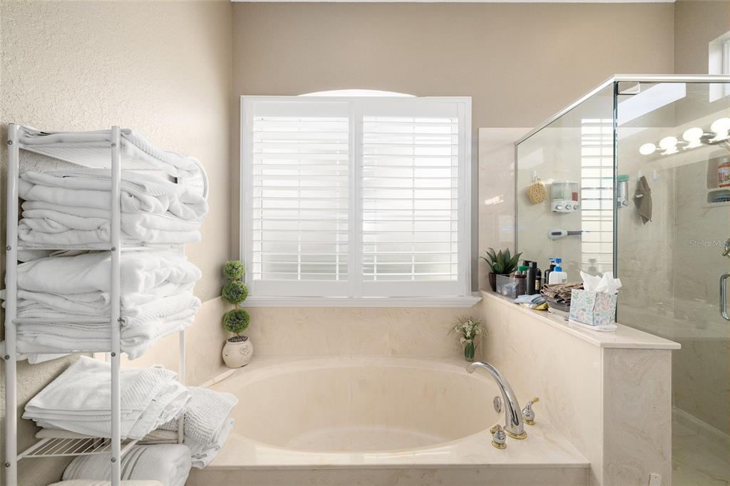 9479 Southeast 130th Street Road Summerfield, FL 34491 - Photo 27 of 67 a white bath tub sitting in a bathroom next to a window