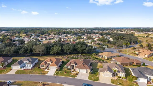 an aerial view of residential houses with outdoor space and trees