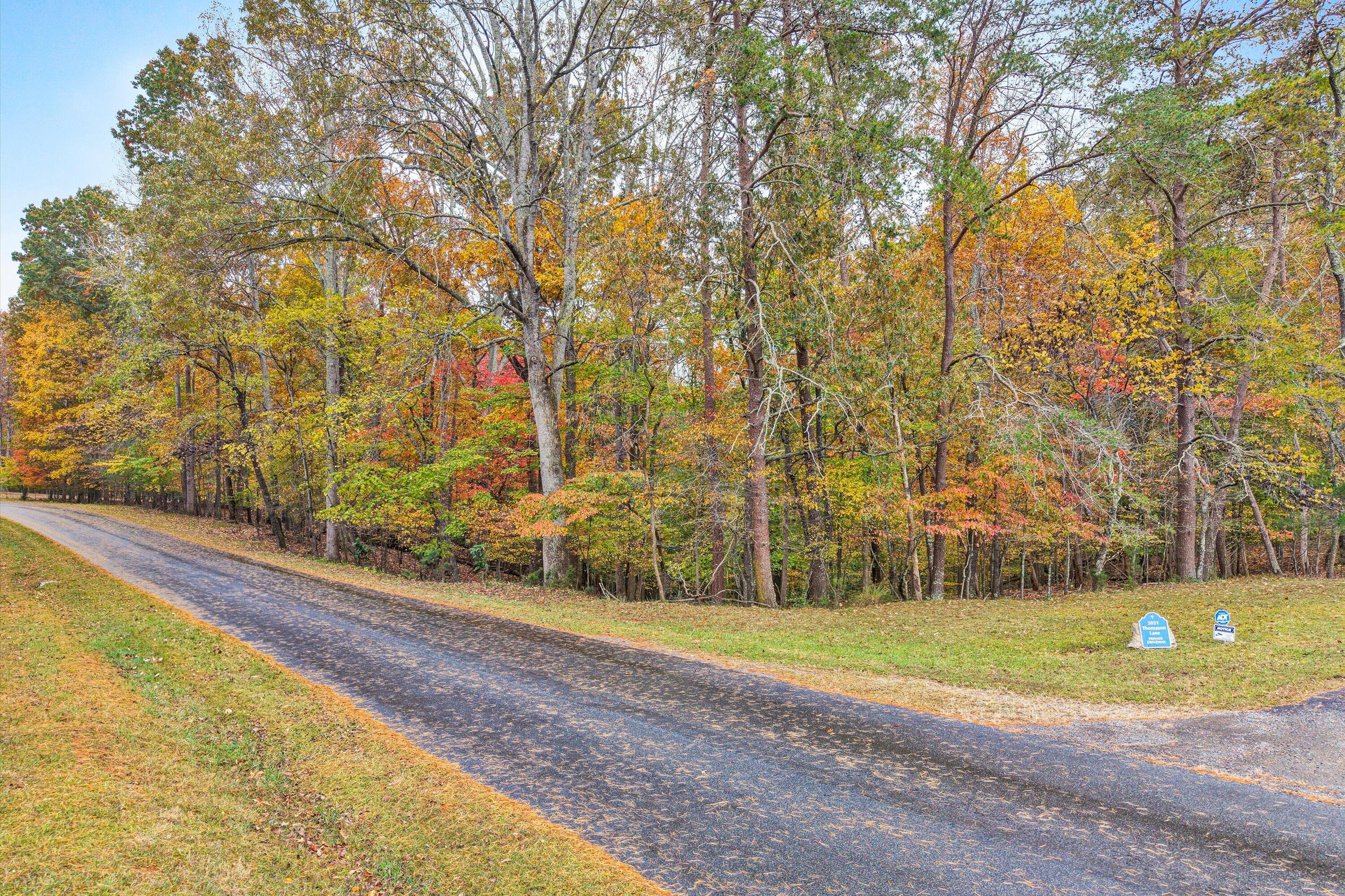 0 Thomason Lane Goodview, VA 24095 - Photo 3 of 15 a view of a yard with large trees