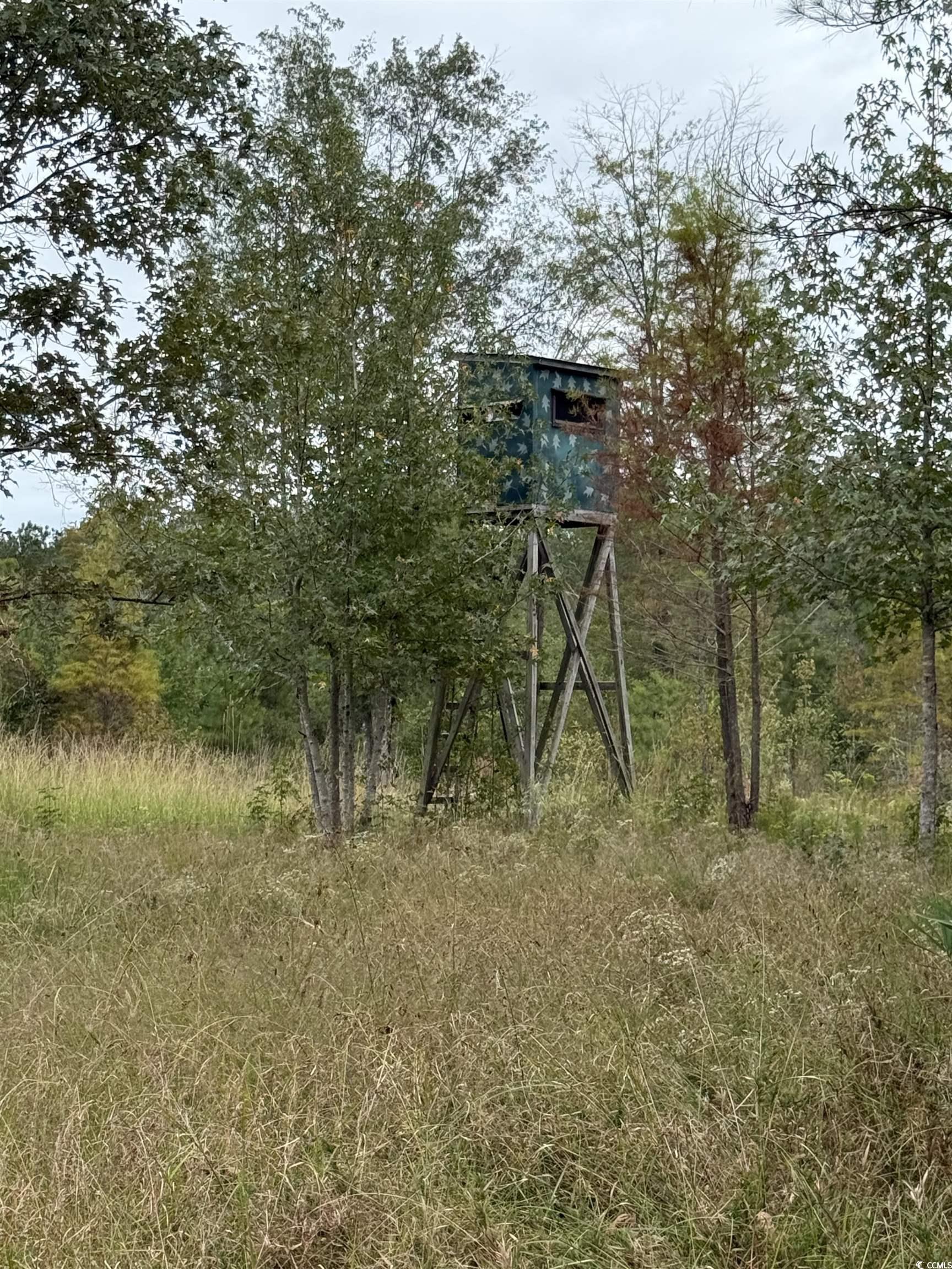 View of undeveloped land