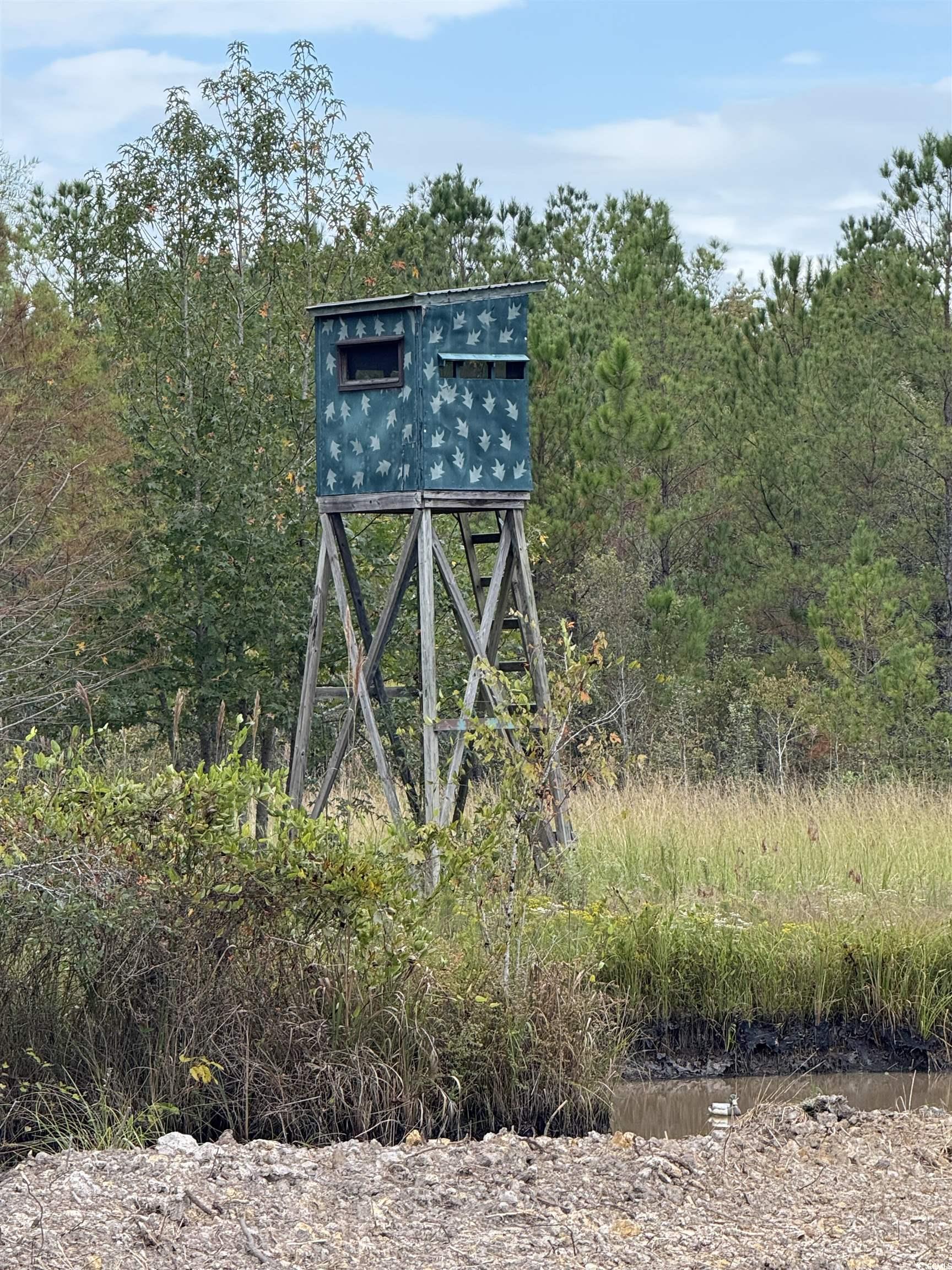 Tbd Tbd Terrell's Bay Road Marion, SC 29571 - Photo 12 of 18 View of outbuilding featuring a wooded view