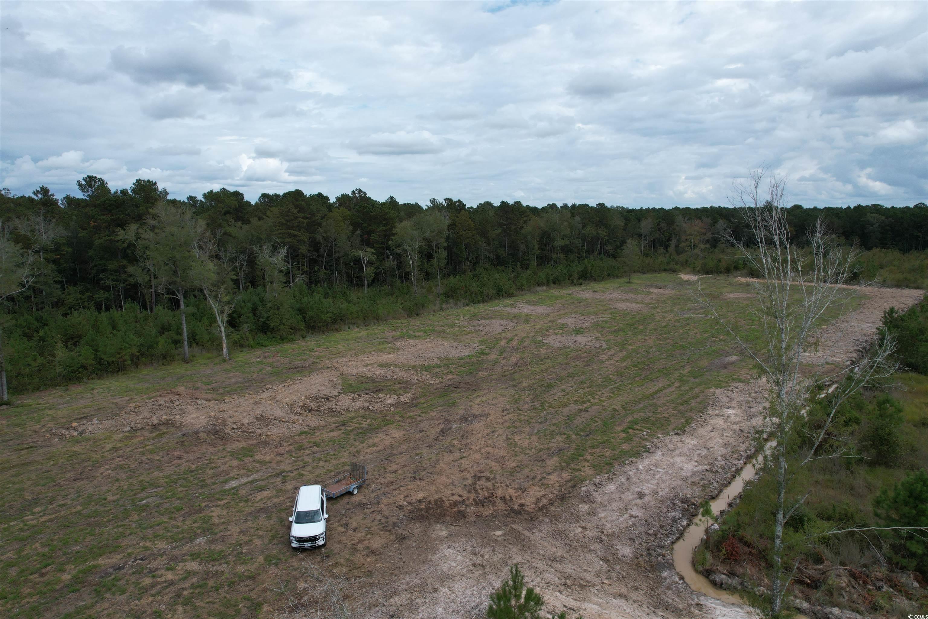 Tbd Tbd Terrell's Bay Road Marion, SC 29571 - Photo 13 of 18 View of woods