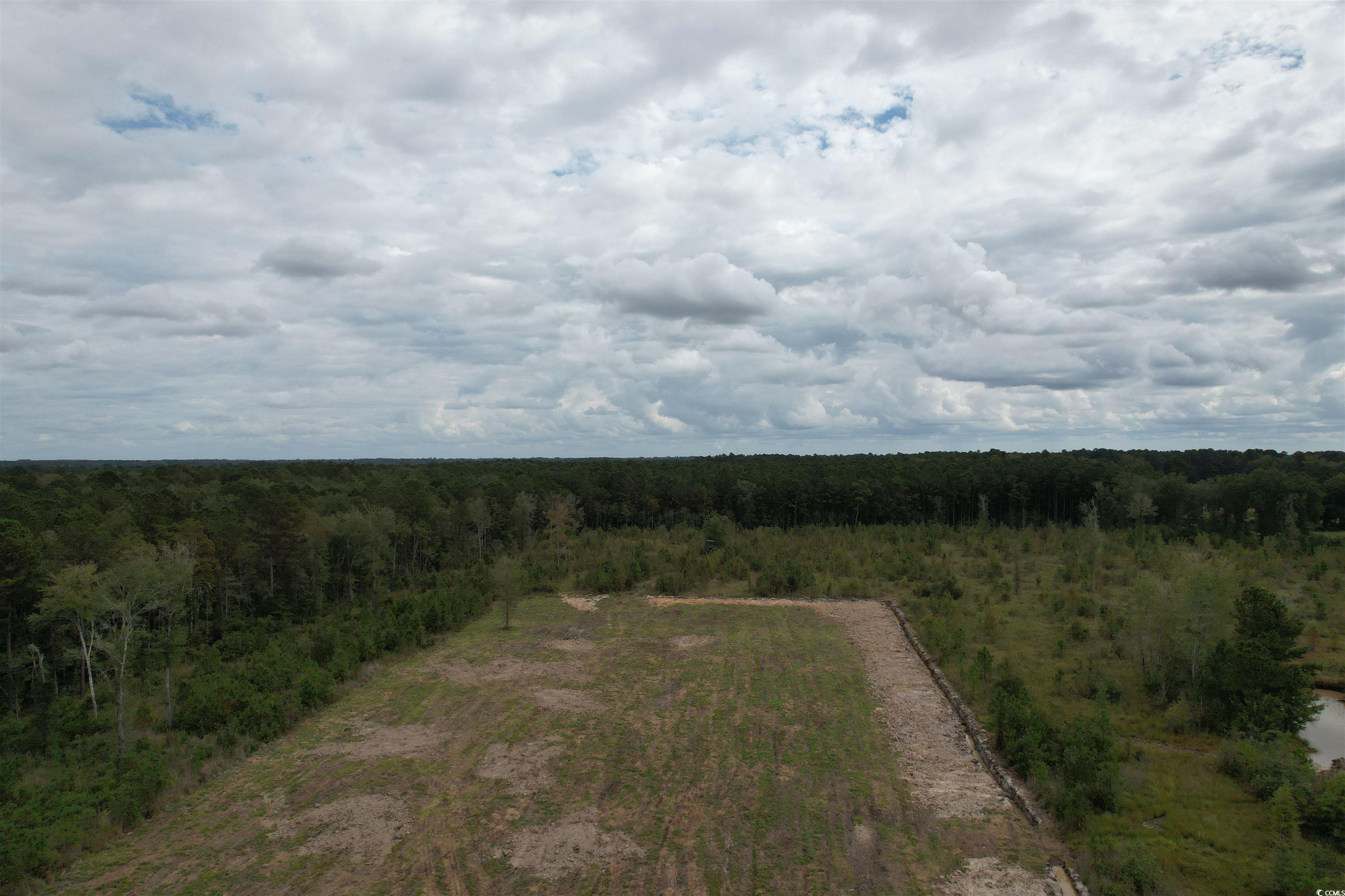 Tbd Tbd Terrell's Bay Road Marion, SC 29571 - Photo 4 of 18 Drone / aerial view of a heavily wooded area