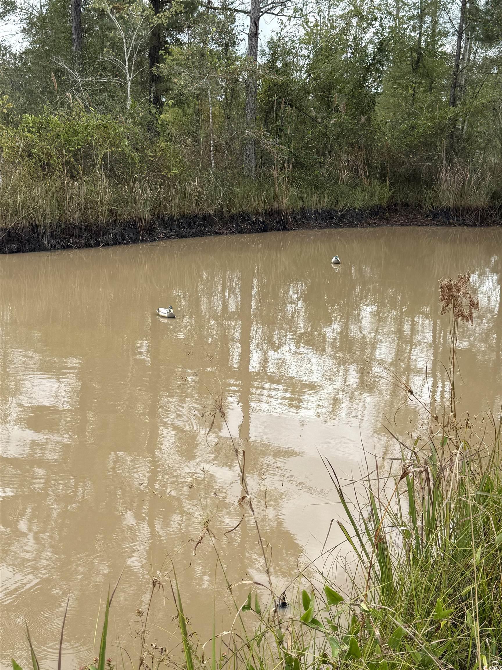 Tbd Tbd Terrell's Bay Road Marion, SC 29571 - Photo 8 of 18 Water view