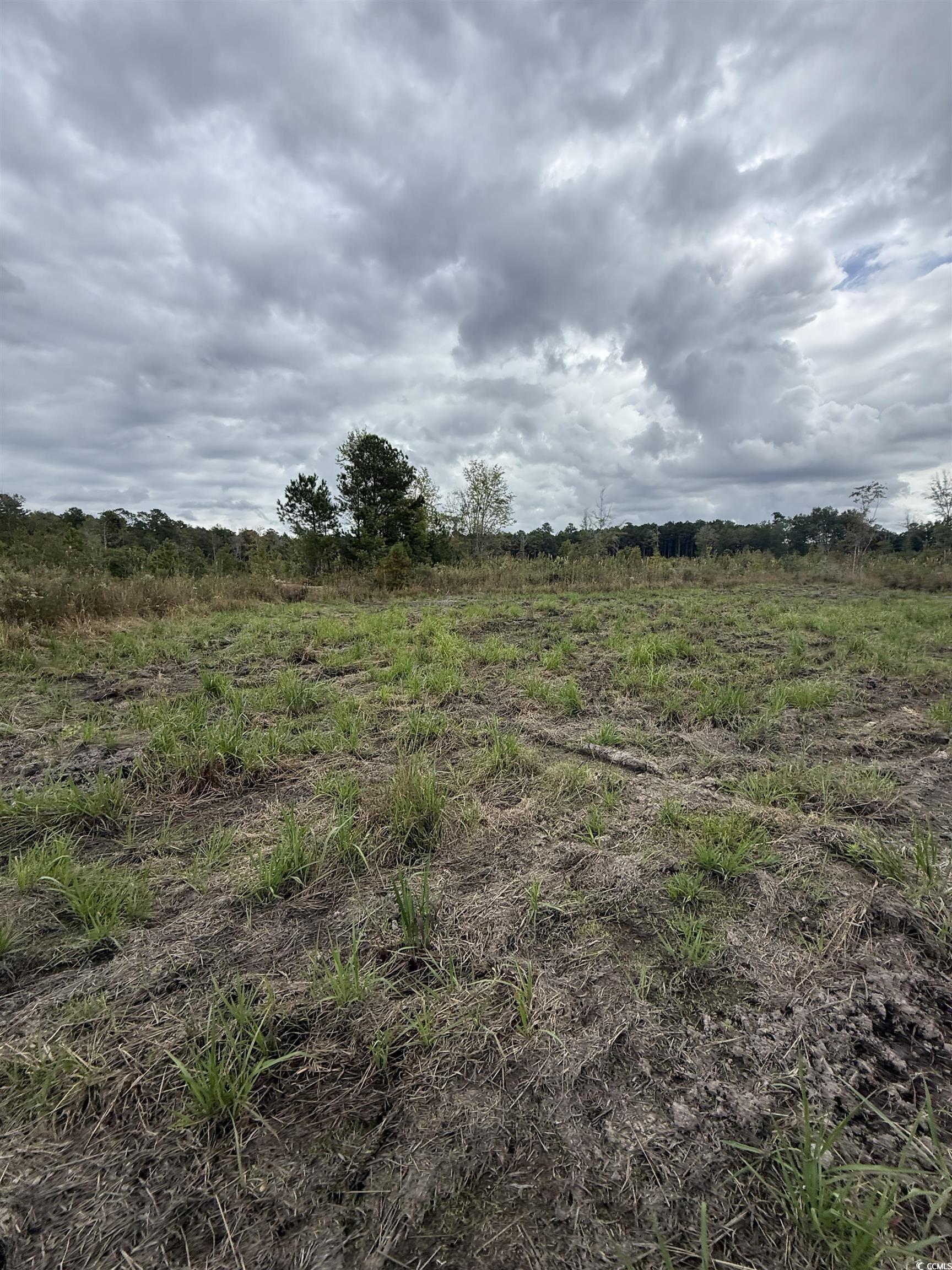 Tbd Tbd Terrell's Bay Road Marion, SC 29571 - Photo 10 of 18 View of local wilderness with rural landscape