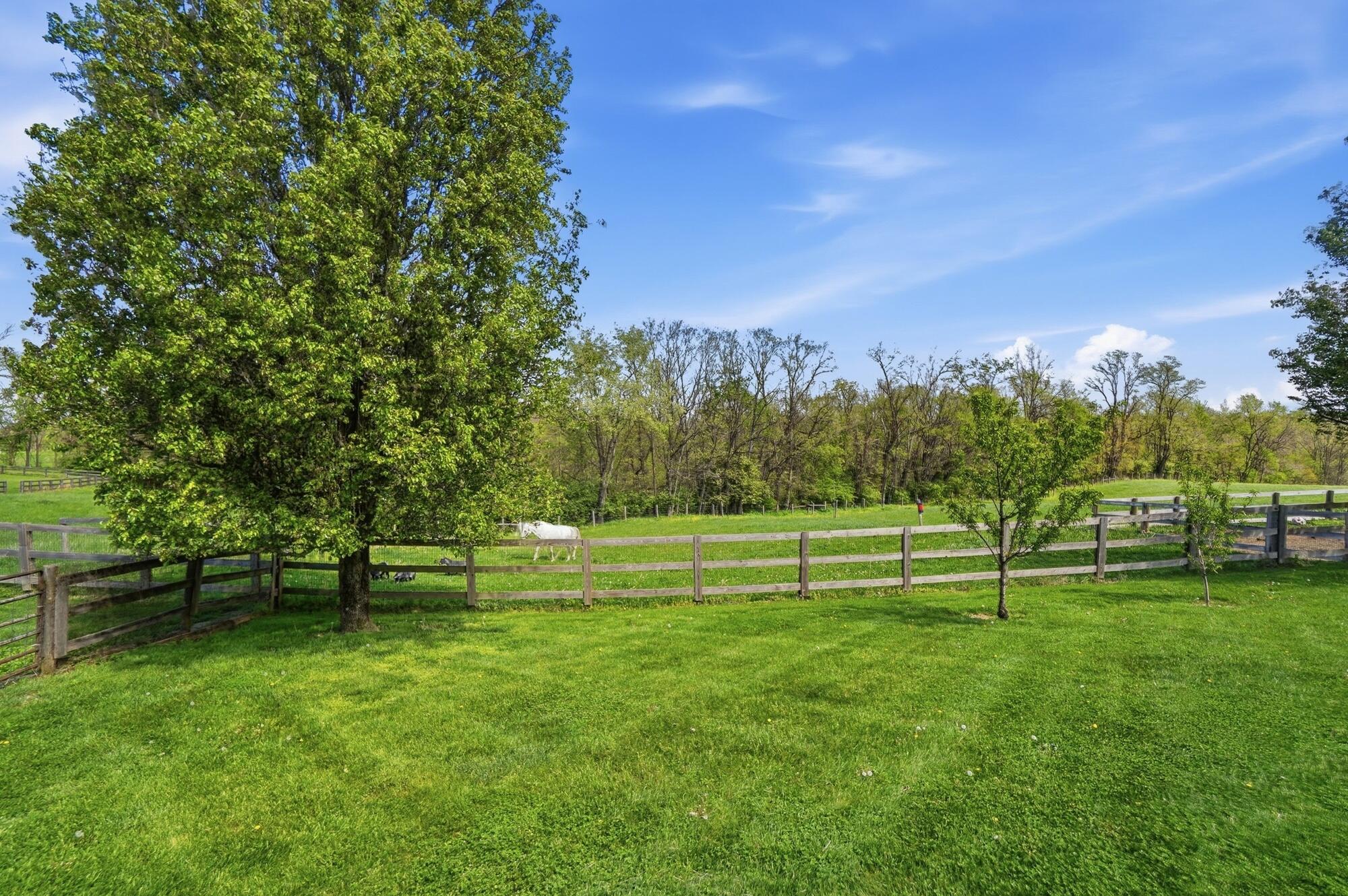 1532 Eads Road Verona, KY 41092 - Photo 14 of 50
