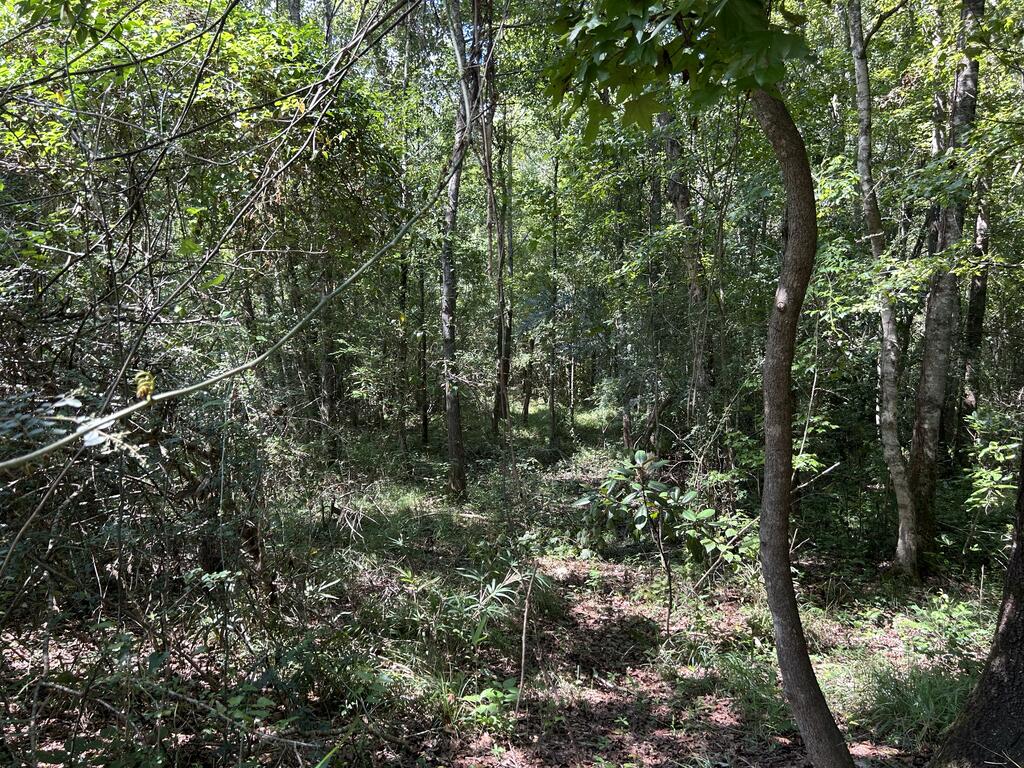 644 Case Road Slocomb, AL 36375 - Photo 14 of 24 Gallery Image 14