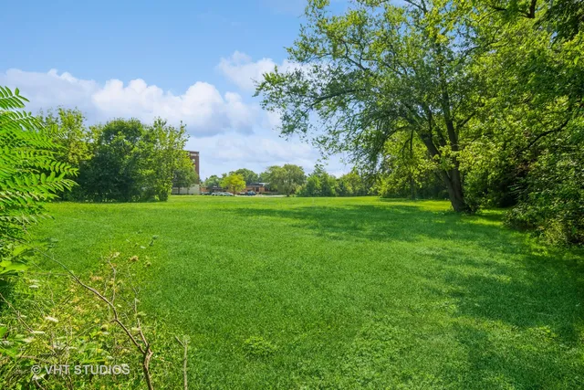 a view of a grassy field with trees in the background
