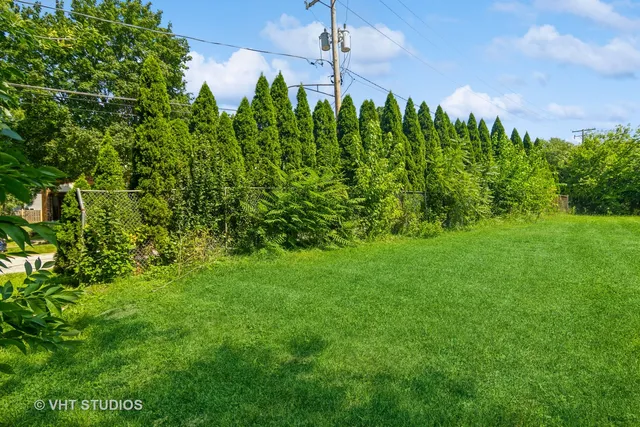 a view of a lush green space
