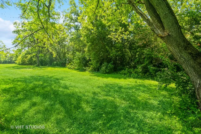 a view of a lush green space