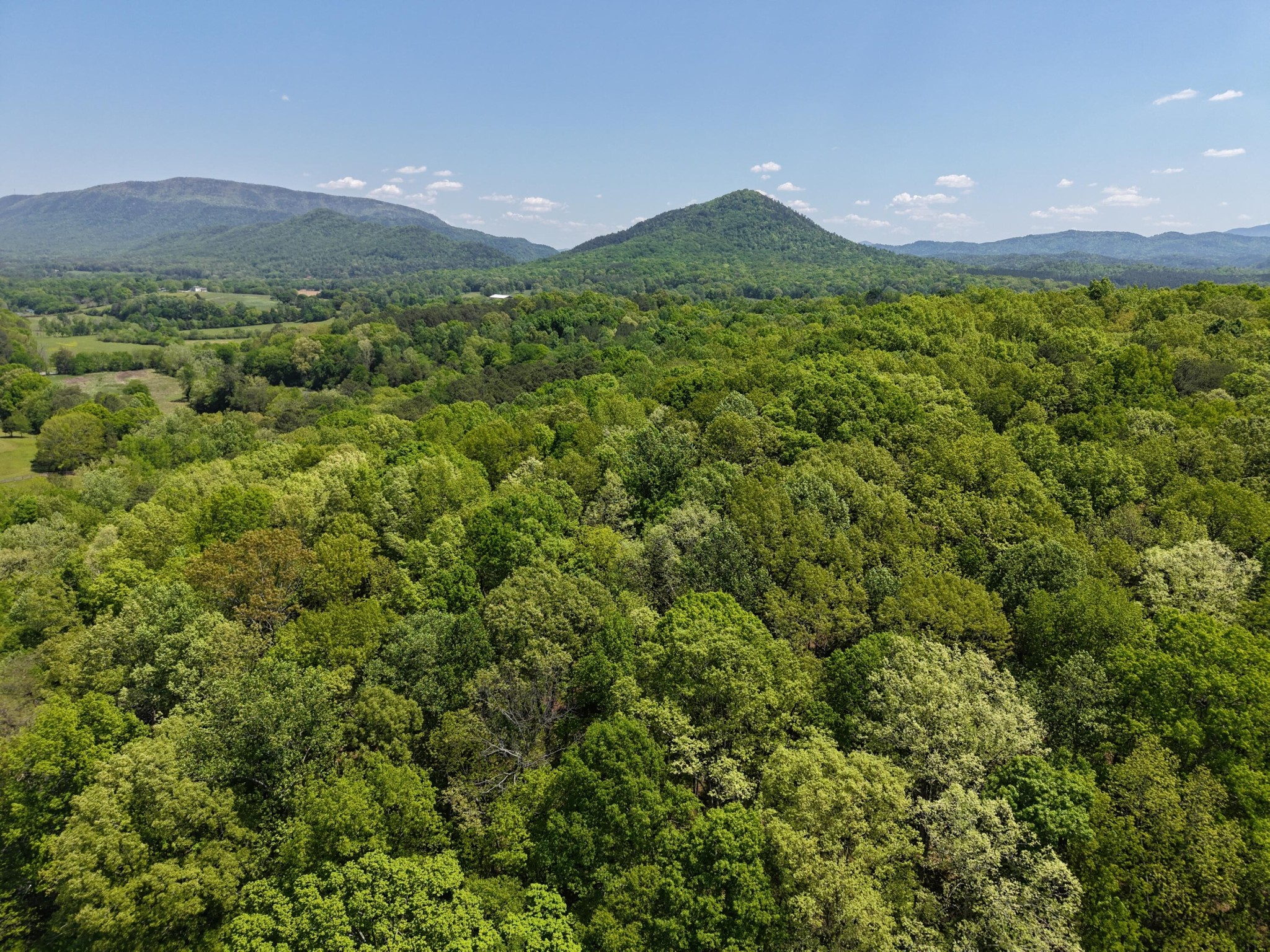 0 Sloans Gap Road Ocoee, TN 37361 - Photo 8 of 12
