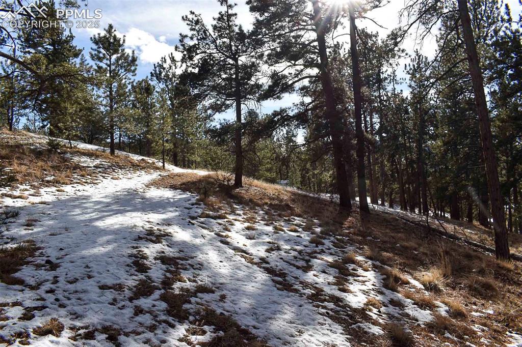 6th Street Guffey, CO 80820 - Photo 15 of 28