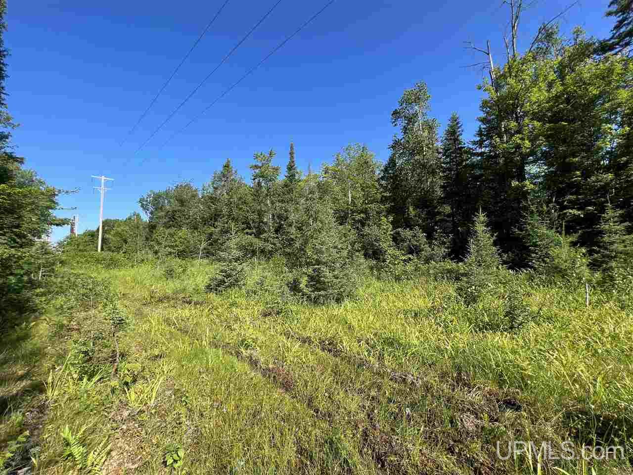 Tbd Tbd H-15 Shingleton, MI 49884 - Photo 6 of 23