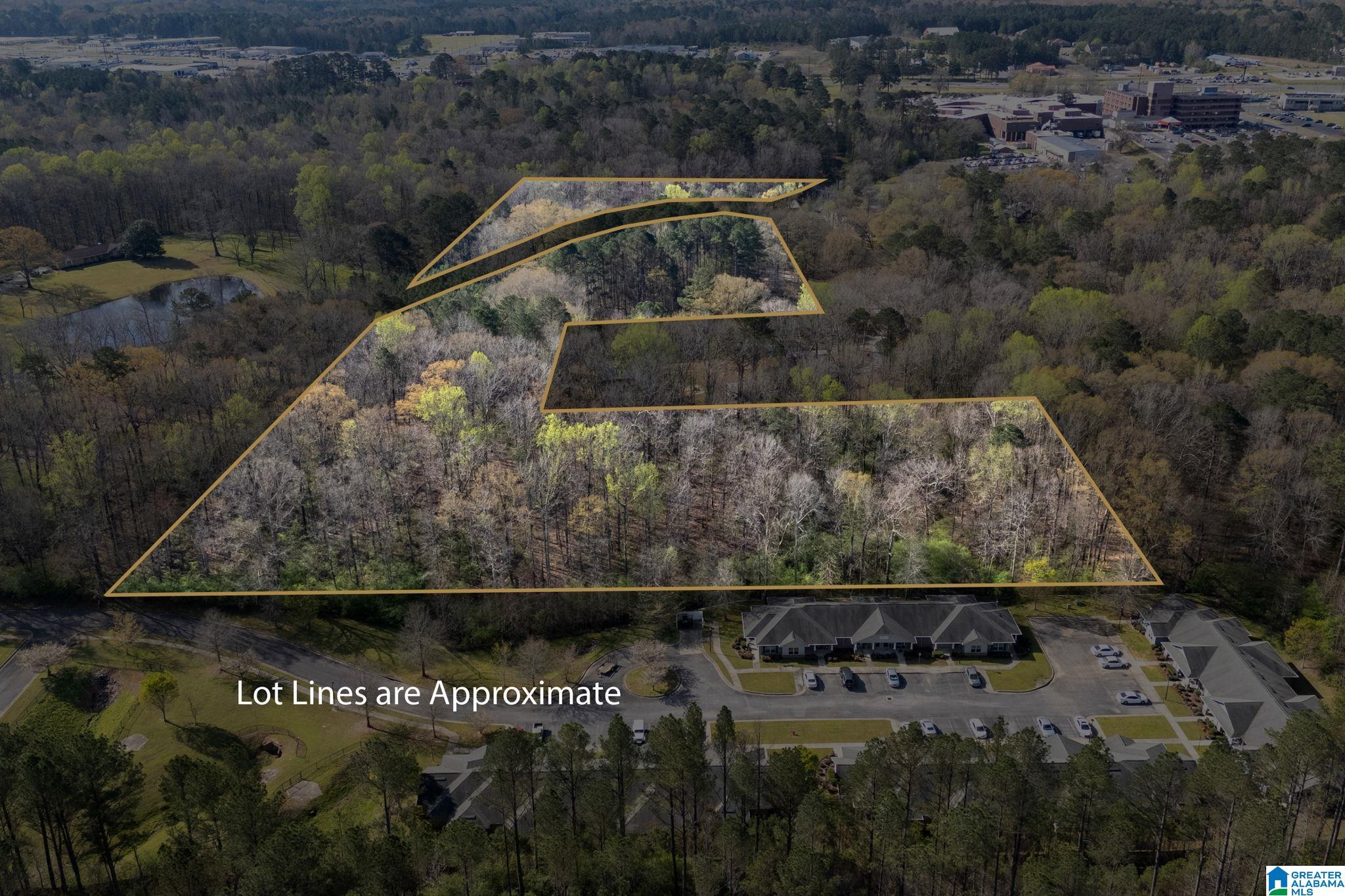 358 Blackwell Dairy Road Jasper, AL 35501 - Photo 3 of 22