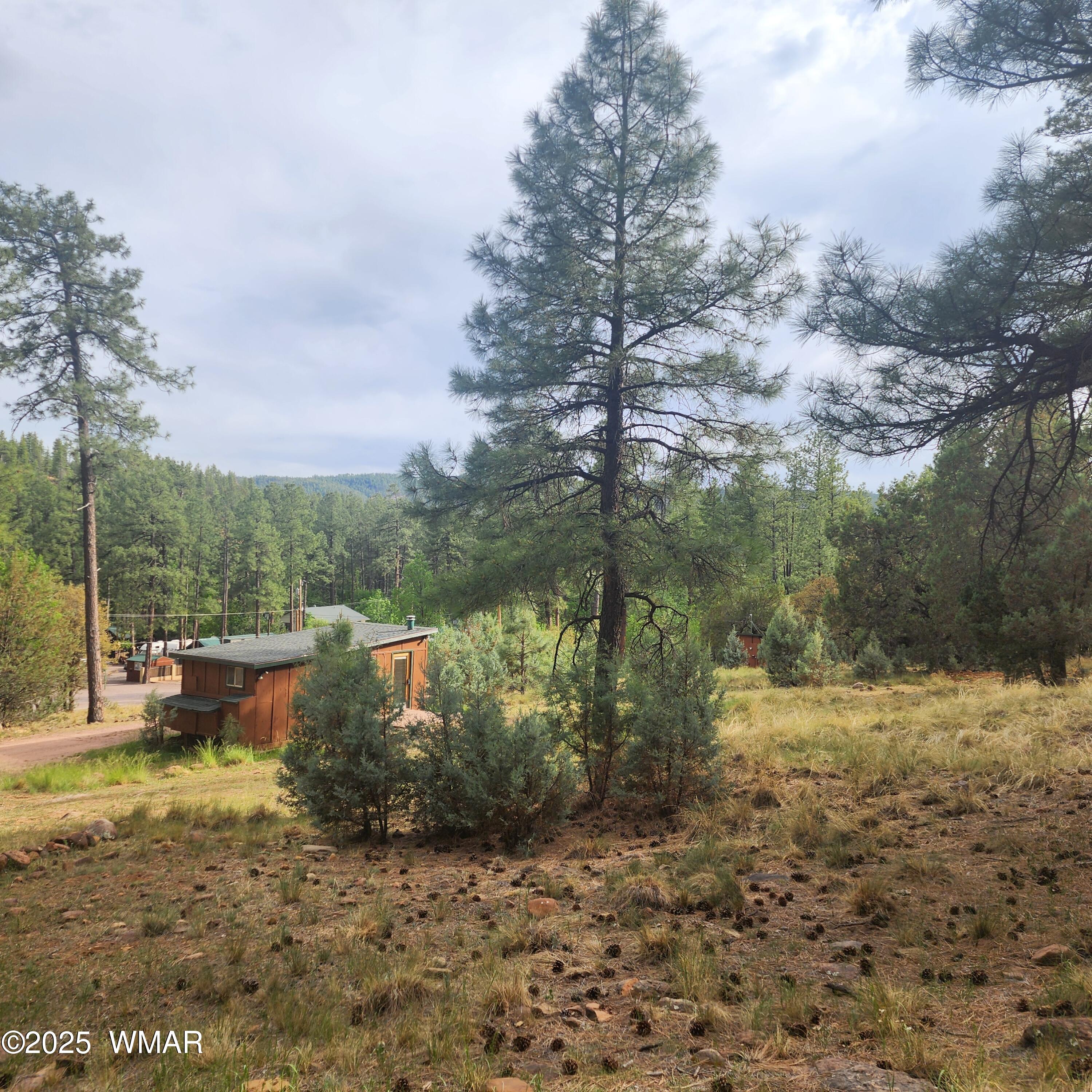 1144 Christopher Creek Loop Payson, AZ 85541 - Photo 47 of 49 new 3