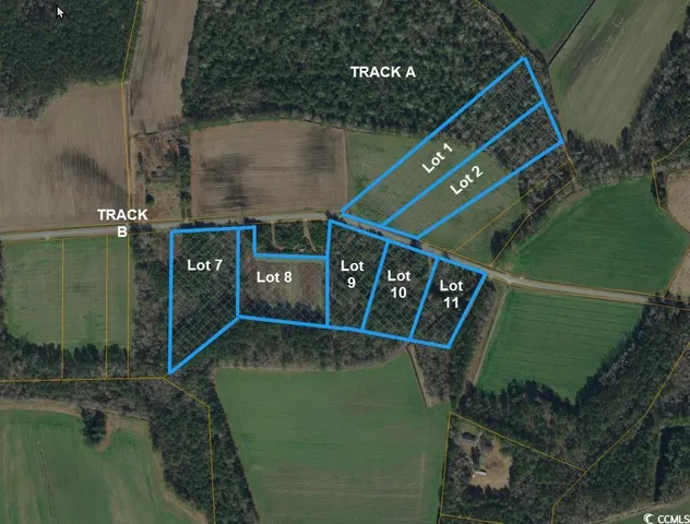 $33,750 | Lot 10 Oak Grove Church Road, Nichols, SC 29581