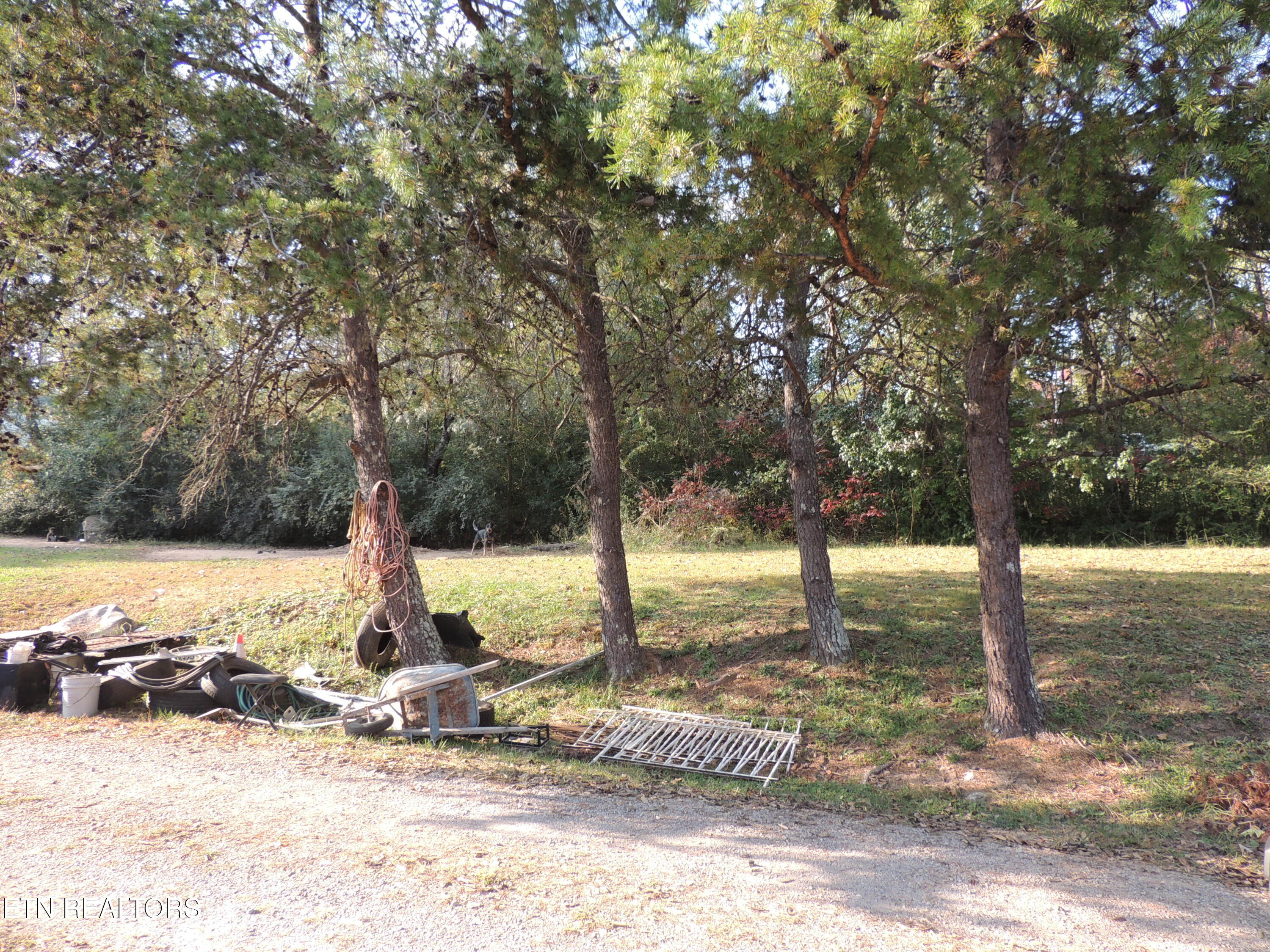 3201 George Light Road Knoxville, TN 37931 - Photo 10 of 10 Yard