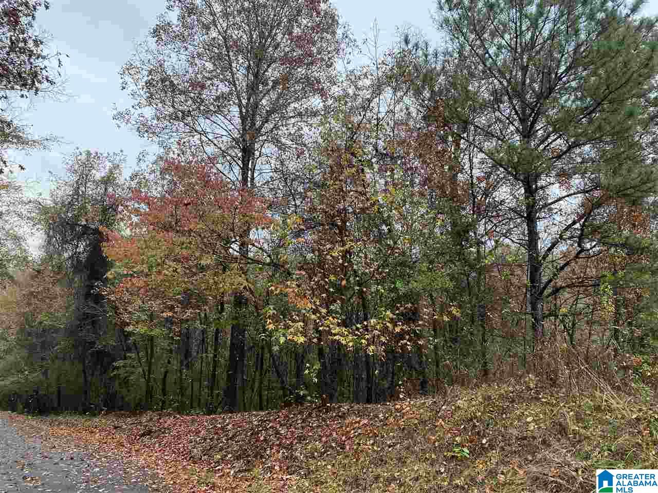 6695 G & H Road, Unit 14 Bessemer, AL 35022 - Photo 1 of 2