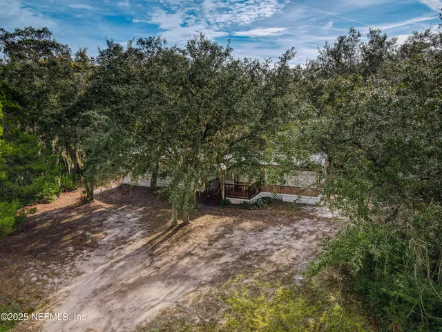 a view of a forest filled with trees