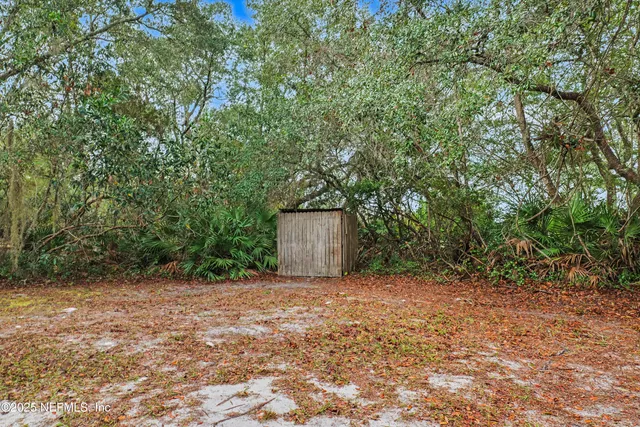 a view of a trees with a backyard