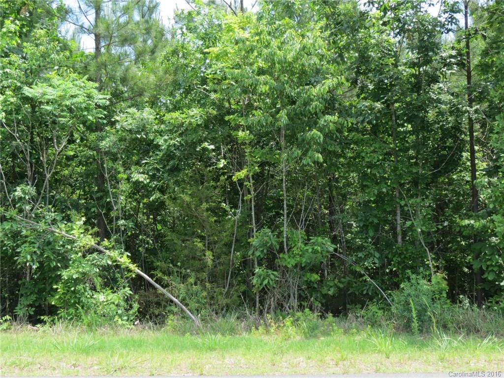 Lot 7 Ranger Road Clover, SC 29710 - Photo 3 of 10