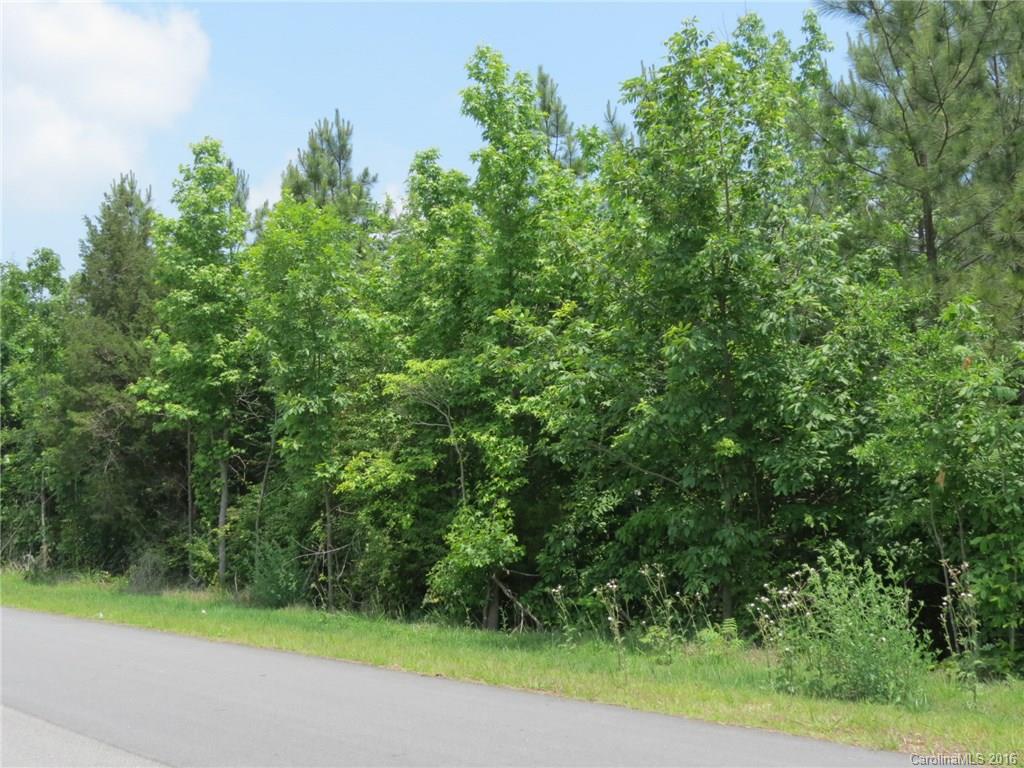 Lot 7 Ranger Road Clover, SC 29710 - Photo 4 of 10