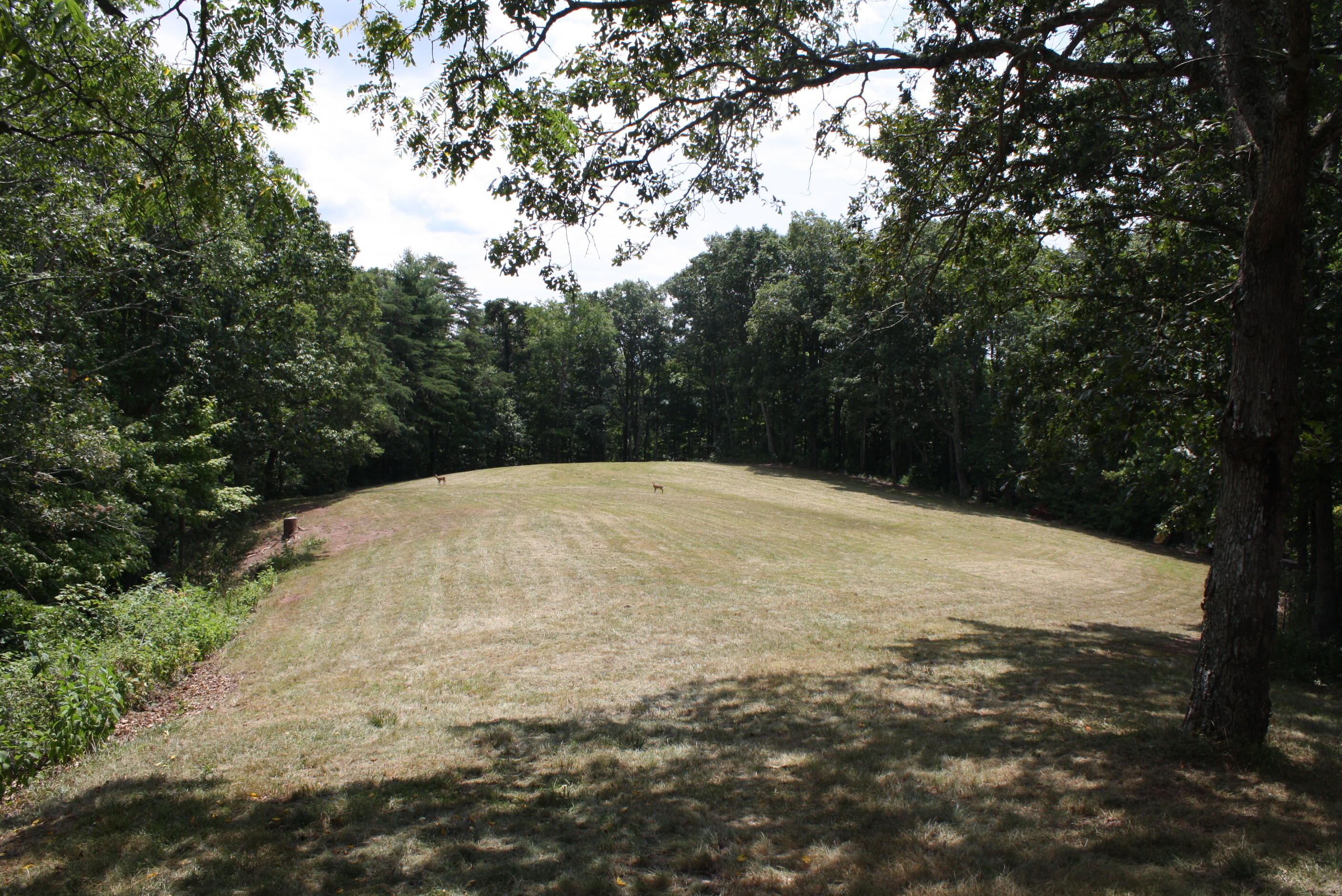 2118 River Ridge Road Pipestem, WV 25979 - Photo 58 of 71 Gallery Image 58