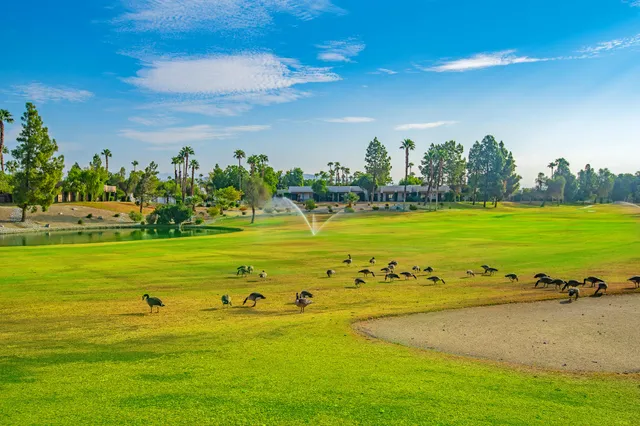 a view of a swimming pool with an ocean view