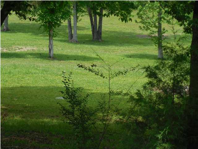 600 Randolph Lane Decatur, TN 37322 - Photo 4 of 24 Additional Photo