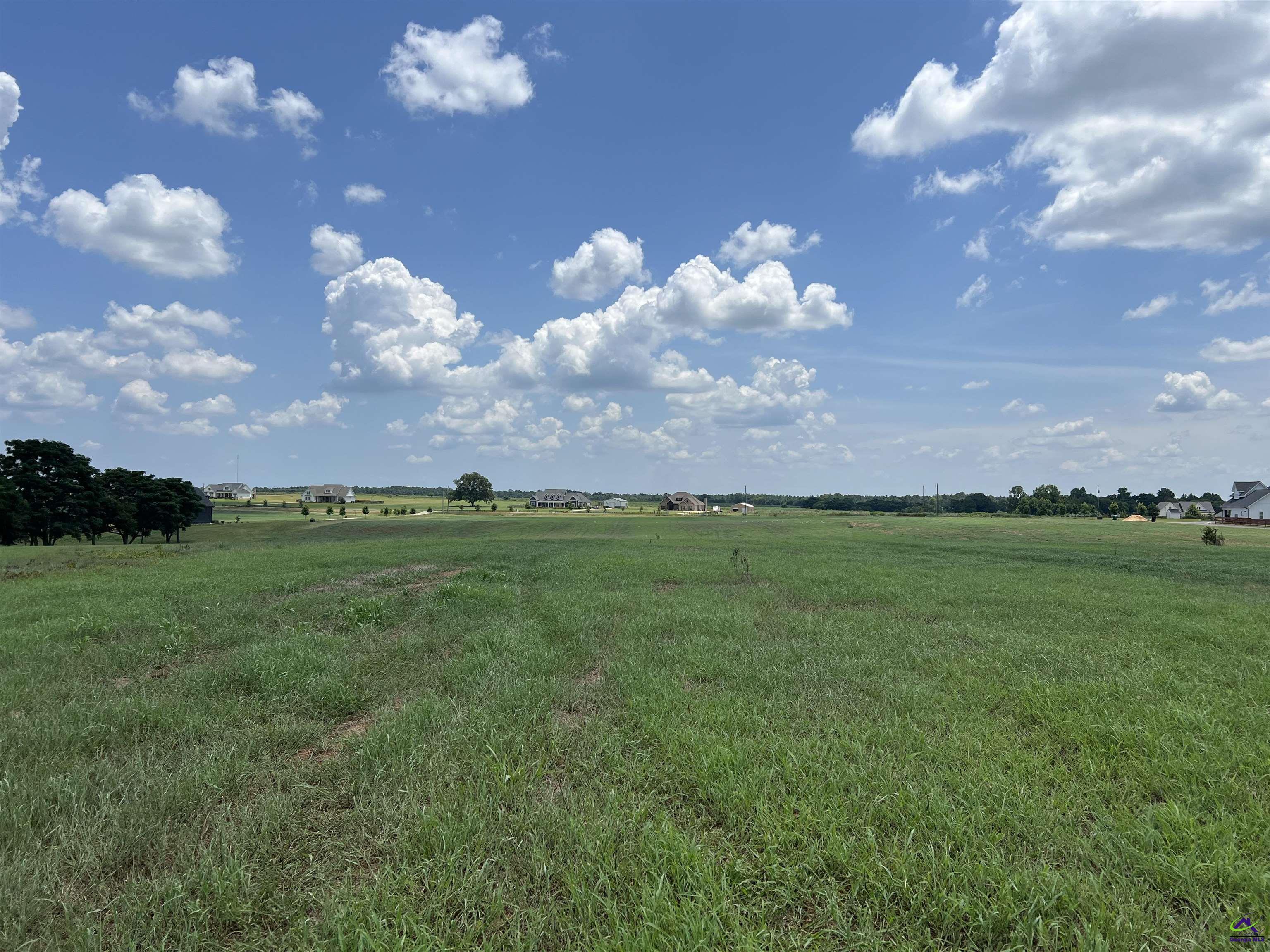 Gilbert Road Elko, GA 31025 - Photo 6 of 7