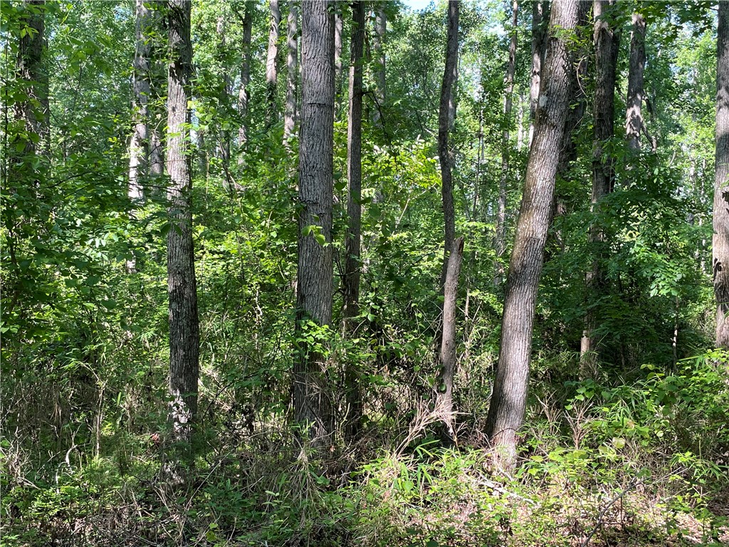 0 Clatworthy Road Honea Path, SC 29654 - Photo 19 of 27