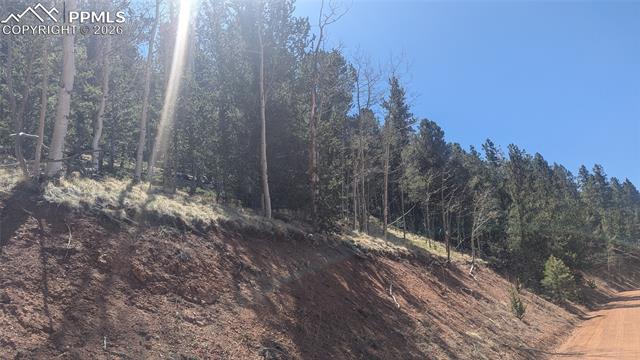136 Valley Road Divide, CO 80814 - Photo 5 of 7 Gallery Image 5